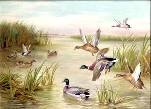 البط أثناء الطيران (النفط) (واحد من زوج، انظر أيضًا 24093) بواسطة إدغار هانت