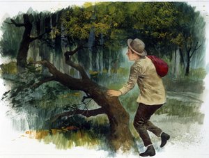 أدب الأطفال: من جبال الأبينيني إلى جبال الأنديز. صبي صغير وحده في الغابة (رسم)