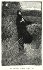 Illustration for Jane Eyre by Charlotte Bronte (engraving) بواسطة إدموند هنري جاريت