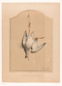 الميت Redshank يتدلى من ساقه Le chevalier aux pieds rouge (العنوان على الكائن) متحف الصياد (عنوان السلسلة) Musée du Chasseur (عنوان السلسلة على الكائن) بواسطة فرانسوا ديلارو