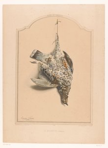 أنثى طيهوج منتفخة متدلية من ساقها La Gelinotte (femelle) (العنوان على الكائن) متحف الصياد (عنوان السلسلة) Musée du Chasseur (عنوان السلسلة على الكائن) بواسطة فرانسوا ديلارو