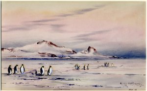 The Discovery Winter Quarters ، c.1901-04 (مرحاض على ورق)