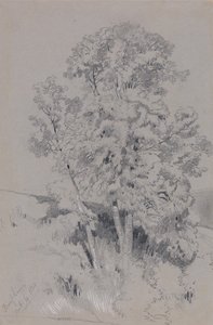بورفام 4 أكتوبر 1834 بواسطة إدوارد لير