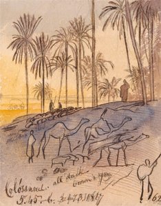 كولوسانيه ، 5:45 - 6:00 مساءً ، 3 يناير 1867 (62) بواسطة إدوارد لير