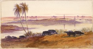 الهون ، مصر ، 1884 بواسطة إدوارد لير