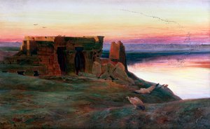 معبد كوم أمبو ، مصر ، 1856. بواسطة إدوارد لير