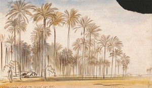  بواسطة إدوارد لير