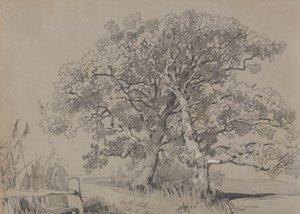 نورث ستوك. 21 أكتوبر 1834. بواسطة إدوارد لير