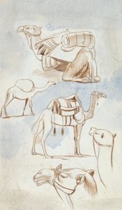  بواسطة إدوارد لير