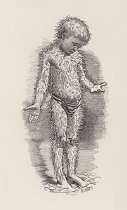 رسم توضيحي للأطفال الصغار بواسطة تشارلز كينجسلي (نقش) بواسطة إدوارد لينلي (بعد) سامبورن