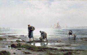مجمعات المحار ، 1883