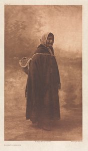 المحفظة IX ، اللوحة 311: حامل السلة بواسطة مطبعة الجامعة