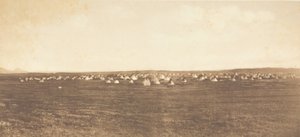 معسكر رقص الشمس - Piegan ، 1900. بواسطة إدوارد شريف كيرتس