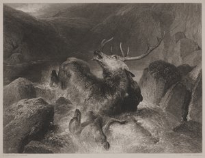 موت الأيل ، نقش بواسطة جون كوزين (1804-80)