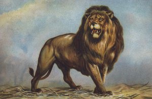 دراسة للأسد في ميدان ترافالغار بواسطة Landseer ، المعرض الوطني ، لندن (لون ليثو)