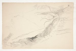 رسم شجرة بواسطة إدوين أوستن أبي