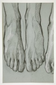رسم تخطيطي لثلاثة أقدام (وجه الوجه) ؛ رسم لقدم واحدة (ظهر) بواسطة إدوين أوستن أبي