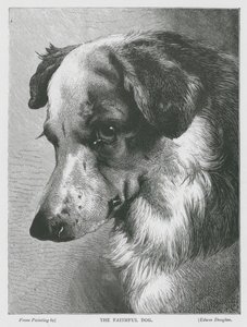 الكلب المخلص (نقش) بواسطة إدوين دوجلاس