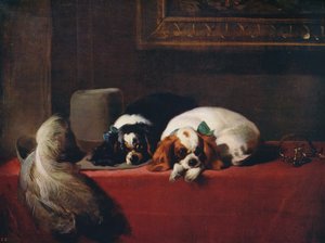 الملك تشارلز Spaniels The Cavaliers Pets ، 1845 ، c1915