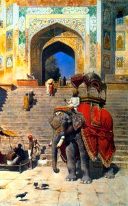 الفيل الملكي عند بوابة مسجد جامع ، ماتورا ، القرن التاسع عشر أو أوائل القرن العشرين.
