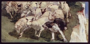Bobtailed Sheep-Dog and Flock on the Cliffs (لون ليثو) بواسطة إدوين نوبل