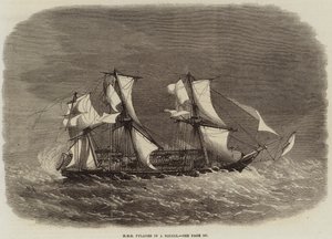 HMS Pylades في صرخة