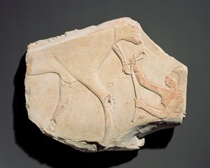 جزء من نقش مُصوَّر عليه ولادة عجل ، من Asasif ، طيبة ، الفترة المتوسطة الثالثة (c.1069-664 قبل الميلاد) (الحجر الجيري) بواسطة مصري