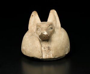 غطاء برأس آوى لجرة كانوبية (الحجر الجيري) بواسطة مصري