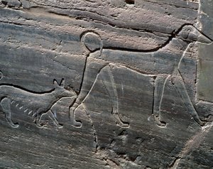 زوجان من الكلاب ، إغاثة من المدخل ، قبر سارنبوت الثاني ، مقابر الأمراء ، قبة الهوى ، الضفة الغربية لنيل أسوان ، الحضارة المصرية ، الدولة الوسطى ، الأسرة الثانية عشرة بواسطة الأسرة الثانية عشرة المصرية