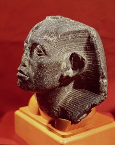 رأس Sesostris III ، من Medamud بالقرب من الكرنك ، المملكة الوسطى ، c.1862-43 قبل الميلاد (الجرانيت)