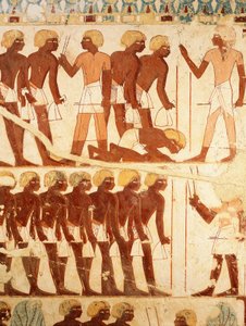 Detail of frescoes de[icting the army receiving rations, from the Tomb of Userhat (TT56) بواسطة الأسرة الثامنة عشر المصرية