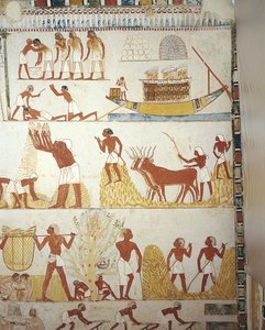 Egypt, Thebes, Luxor, Sheikh 
