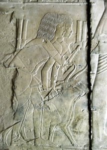 الآثار المصرية القديمة: تصل من قبر خا أم حت (خيمة) مفتش السندرات والكاتبة إلى بلاط Amenophis III (TT57) الذي يمثل الرجال الذين يقدمون رؤوس البنجر كقربان. الأسرة الثامنة عشر. 1530-1290 ق. وادي النبلاء. الأقصر ، الضفة الغربية ، على سبيل المثال بواسطة الأسرة الثامنة عشر المصرية