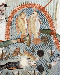 أسماك ، تفاصيل من مشهد الصيد وصيد الأسماك في الأهوار ، لوحة جدارية ، الجدار الشمالي ، الغرفة الطولية ، مقبرة ذيبان TT69 ، الشيخ عبد القرنة ، طيبة (قائمة اليونسكو للتراث العالمي بواسطة الأسرة الثامنة عشر المصرية