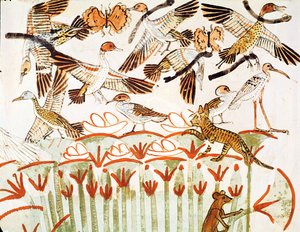 الصيد والطيور في الأهوار ، تفاصيل الطيور ، من مصلى مقبرة منة ، المملكة الحديثة (رسم جداري) بواسطة الأسرة الثامنة عشر المصرية