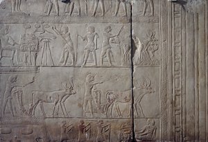  بواسطة الأسرة الثامنة عشر المصرية