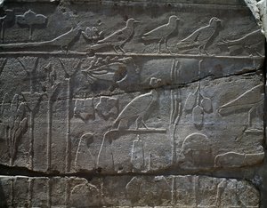 نباتات وحيوانات تم إرجاعها من بعثة تحتمس الثالث إلى سوريا عام 1465 قبل الميلاد، تفاصيل النقش، القاعة المعروفة بما يسمى بالحديقة النباتية، معبد آمون، مجمع معابد الكرنك، الحضارة المصرية، المملكة الحديثة، الأسرة الثامنة عشرة بواسطة الأسرة الثامنة عشر المصرية