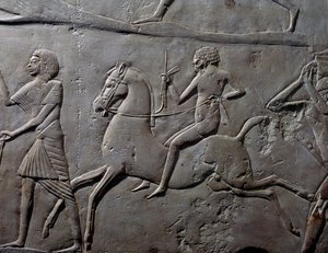 بواسطة الأسرة الثامنة عشر المصرية