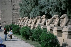 شارع لأبو الهول برأس كبش يبطن طريق المواكب لمعبد آمون العظيم ، المملكة الجديدة