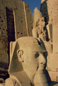 رأس ضخم لرمسيس الثاني (1298-32 قبل الميلاد) المملكة الحديثة