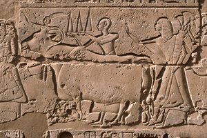 تفاصيل نقش يصور رجال يقودون بقرة ، رمسيس الثاني (1298-32 قبل الميلاد) فناء (الحجر الجيري) بواسطة الأسرة المصرية التاسعة عشرة