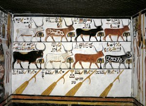 Egypt, Thebes, Luxor, Valley of the Queens, Tomb of Nefertari, Annex to antechamber, Mural paintings, Illustrated Book of the Dead, Chapter 89 بواسطة الأسرة المصرية التاسعة عشرة
