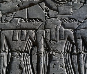  بواسطة الأسرة المصرية التاسعة عشرة