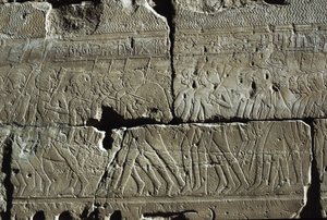  بواسطة الأسرة المصرية التاسعة عشرة