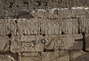 نقش، معبد رمسيس الثاني، أبيدوس، مصر، الحضارة المصرية، الدولة الحديثة، الأسرة التاسعة عشرة (صورة) بواسطة الأسرة المصرية التاسعة عشرة