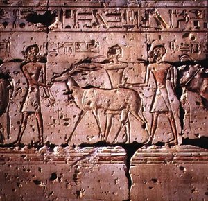 صور الإغاثة المها يقودها موكب للتضحية ، من معبد رمسيس الثاني ، المملكة الحديثة بواسطة Egyptian 19th Dynasty