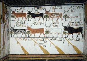 سبع أبقار سماوية ، زوج ثور وأربعة مجاديف ، الفصل 148 من كتاب الموتى ، تفاصيل من اللوحات الجدارية في الغرفة الثانية بمقبرة نفرتاري ، وادي الملكات ، الأقصر ، طيبة. الحضارة المصرية ، المملكة الحديثة ، الأسرة التاسعة عشر. بواسطة الأسرة المصرية التاسعة عشرة
