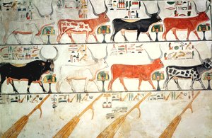 الأبقار السماوية السبعة والثور المقدس ودفات السماء الأربعة ، من مقبرة نفرتاري ، المملكة الحديثة (رسم جداري) بواسطة الأسرة المصرية التاسعة عشرة