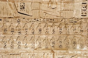 الآثار المصرية: تفاصيل نقوش الصرح الأول الذي يمثل شعارات المدن التي احتلها الفرعون رمسيس الثالث. المعبد الجنائزي لرمسيس الثالث (1187-1156 قبل الميلاد). الأقصر ، مدينة حبو ، مصر بواسطة الأسرة المصرية العشرون