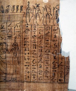 كتاب الموتى: هيروغليفية مصرية على بردية من الأسرة الثانية والعشرين. التفاصيل. القرن التاسع قبل الميلاد. تورينو ، المتحف المصري. بواسطة الأسرة المصرية الثانية والعشرون